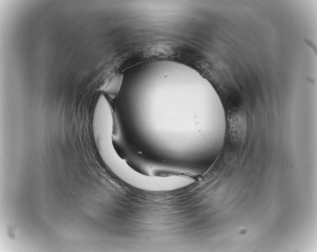 X0000098130617200805081000