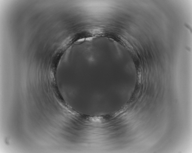X0000098130618200805081000