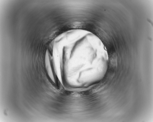 X0000098130620200805081000