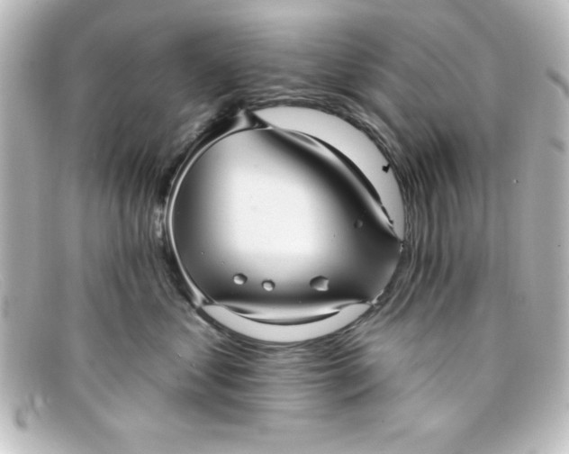 X0000098130621200805081000