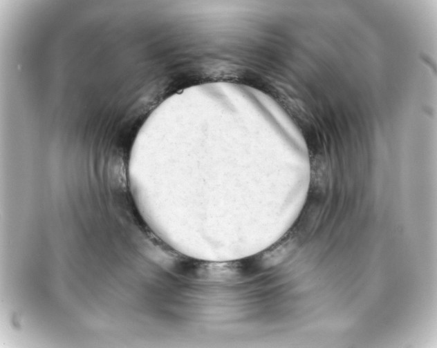 X0000098130622200805081000