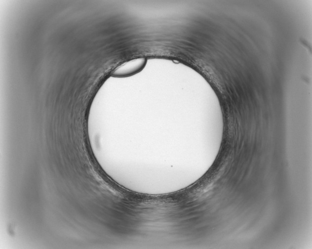X0000098130625200805080959