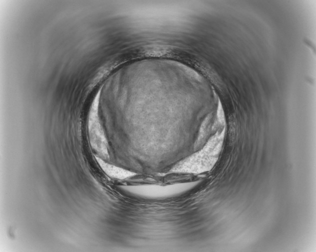 X0000098130626200805080959