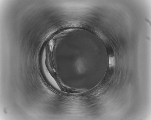 X0000098130627200805080959