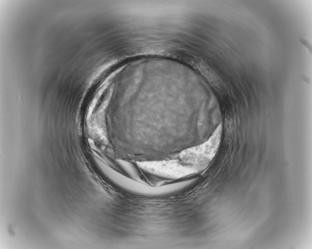 X0000098130628200805080959
