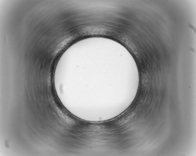 X0000098130629200805080959