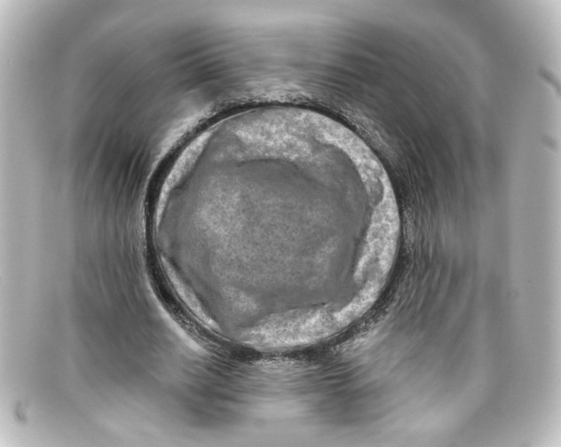 X0000098130630200805080959