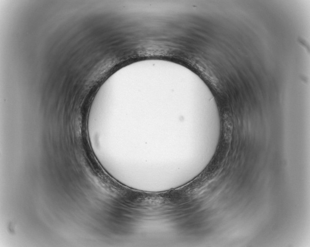 X0000098130631200805080959