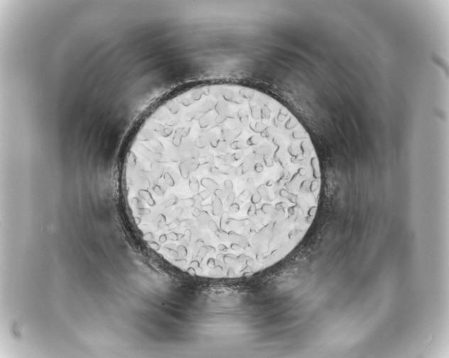 X0000098130632200805080959