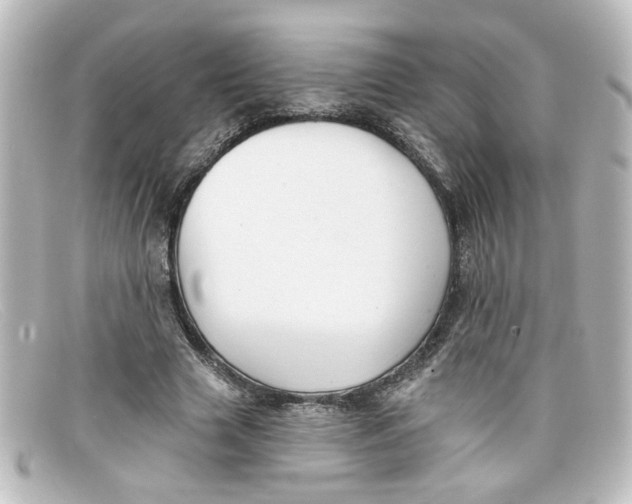 X0000098130633200805080959