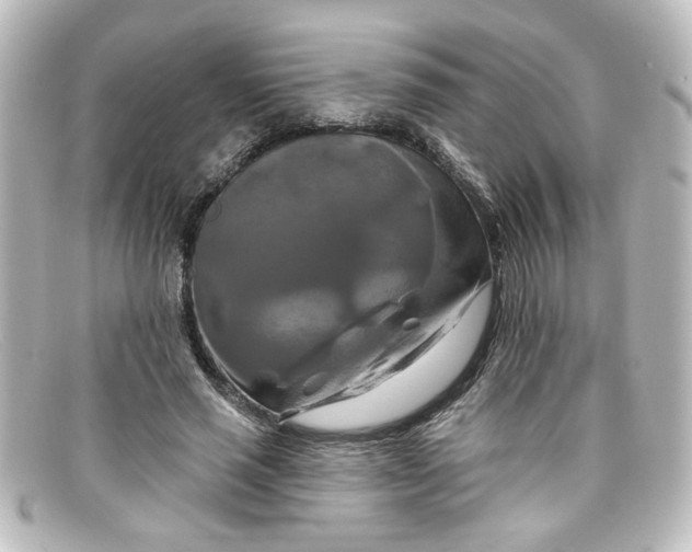 X0000098130637200805080959