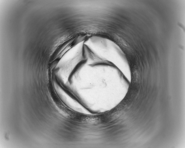 X0000098130638200805080959