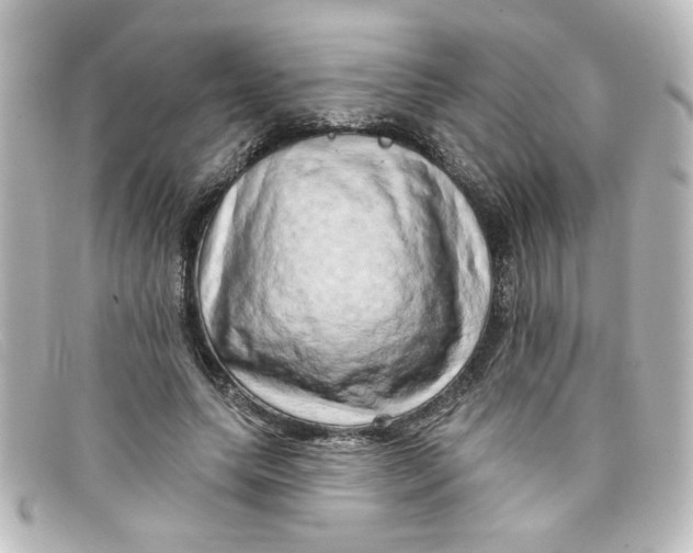 X0000098130639200805080959