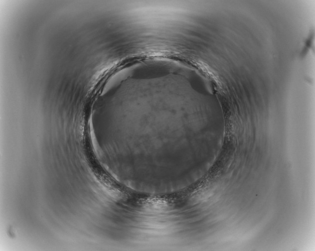 X0000098130640200805080959