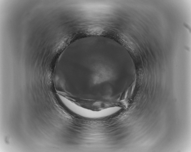 X0000098130641200805080959