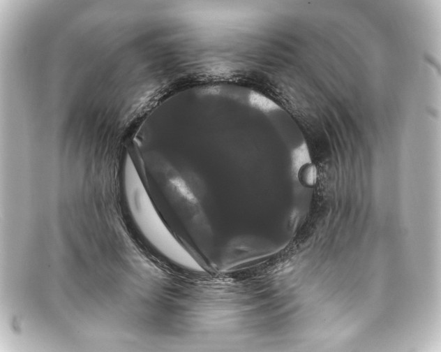 X0000098130642200805080959