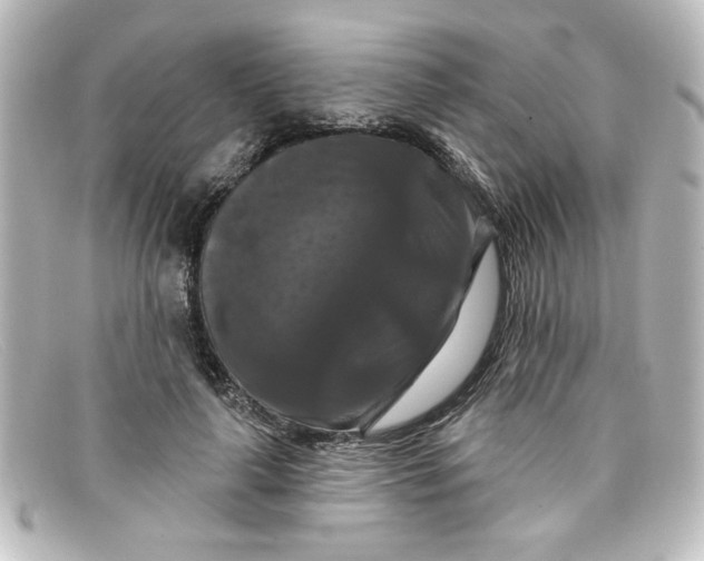 X0000098130643200805080959