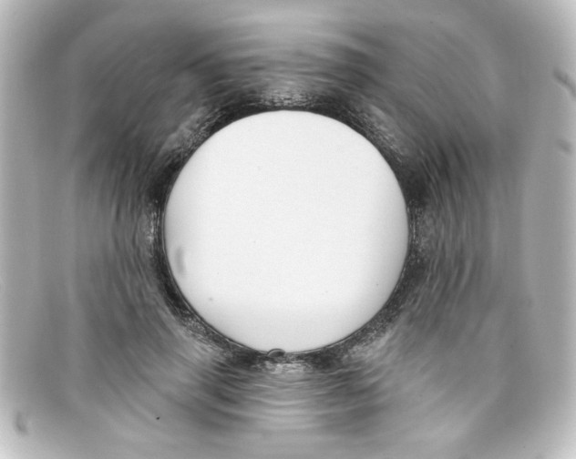 X0000098130645200805080959