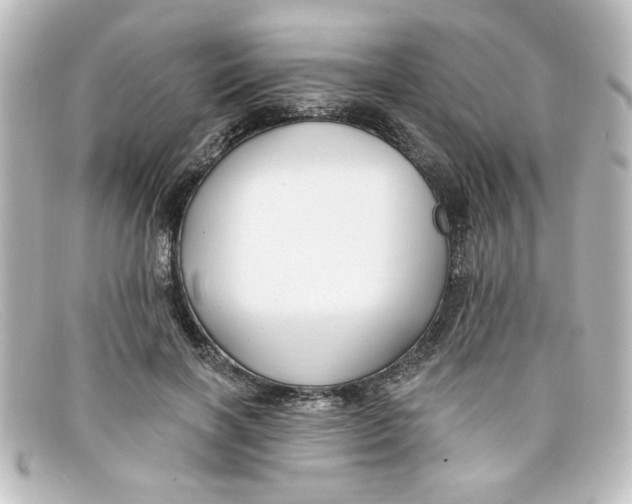 X0000098130646200805080959