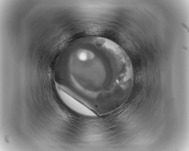 X0000098130647200805080959