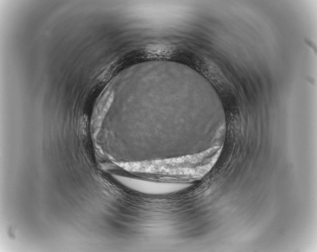 X0000098130649200805080959