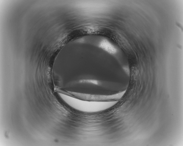 X0000098130650200805080959
