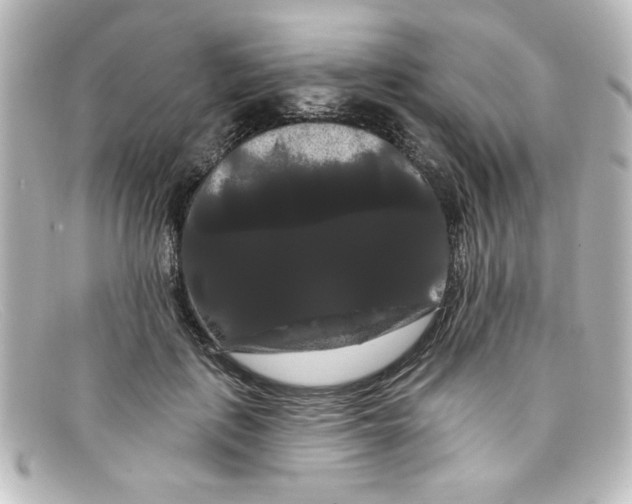 X0000098130651200805080959