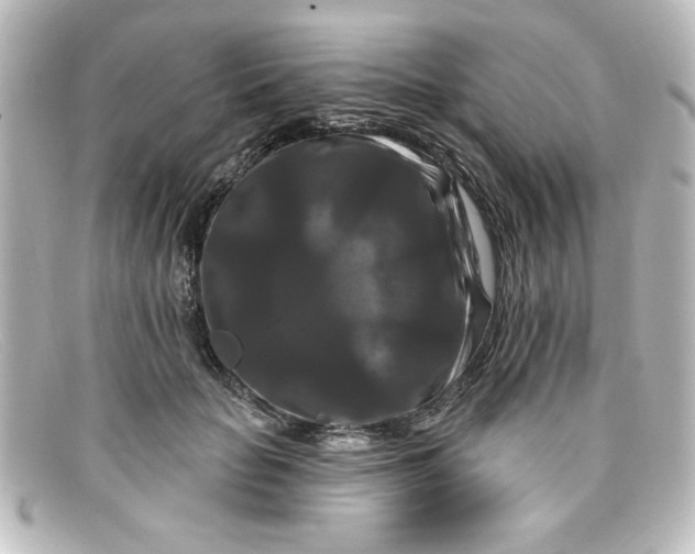 X0000098130653200805080959