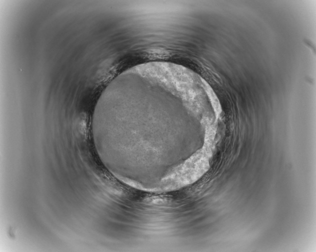 X0000098130655200805080959