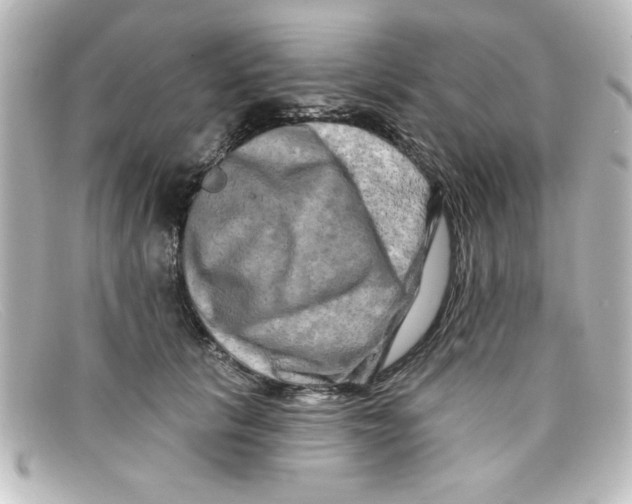 X0000098130657200805080959