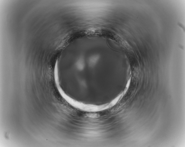 X0000098130659200805080959