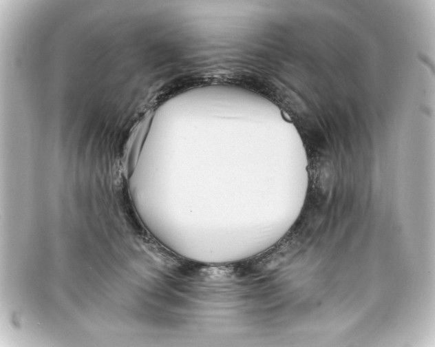 X0000098130660200805080959