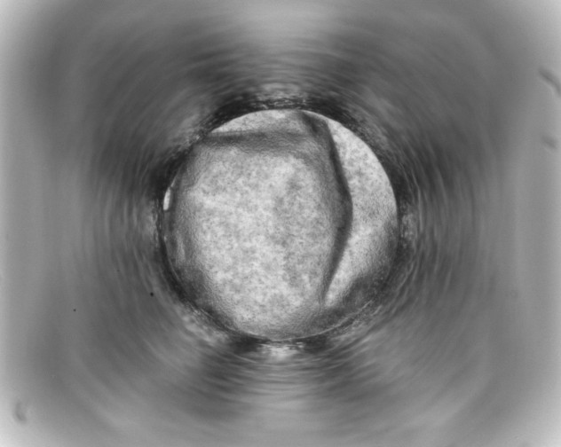 X0000098130662200805080959