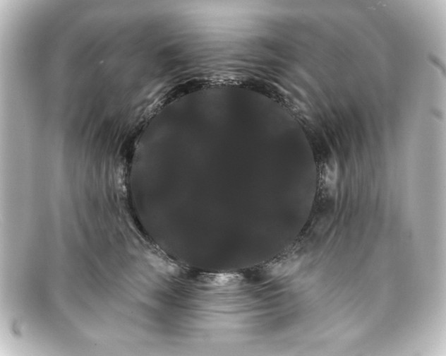 X0000098130663200805080959