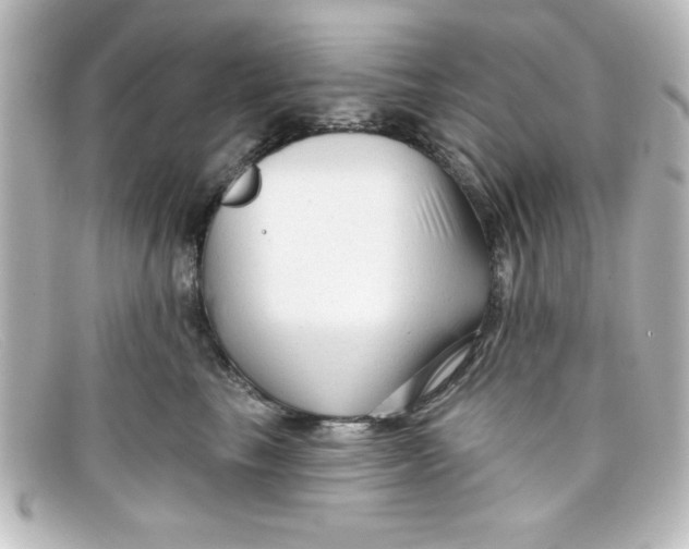 X0000098130665200805080959