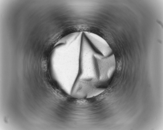 X0000098130666200805080959