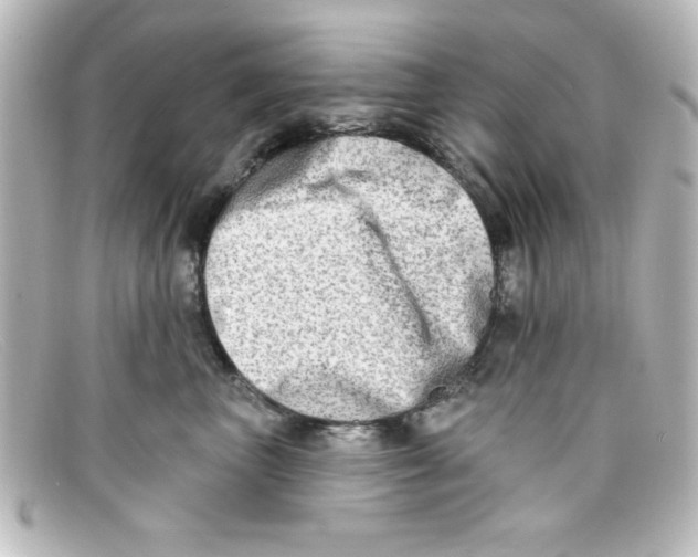 X0000098130667200805080959