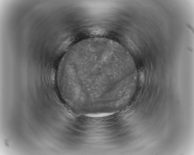 X0000098130668200805080959