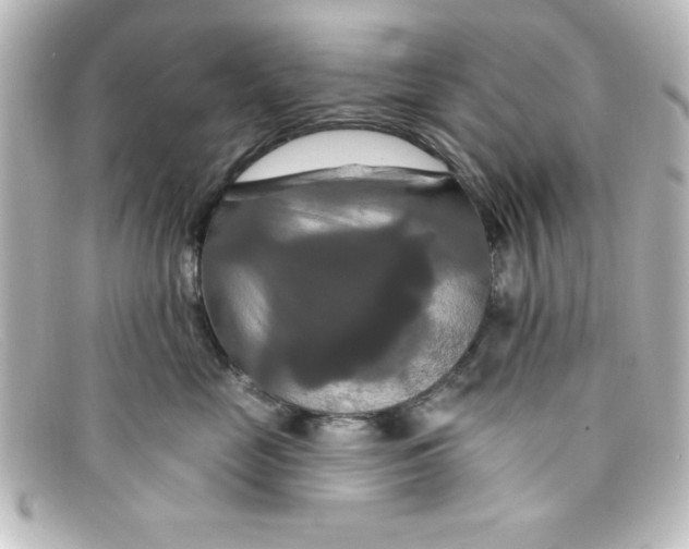 X0000098130669200805080959