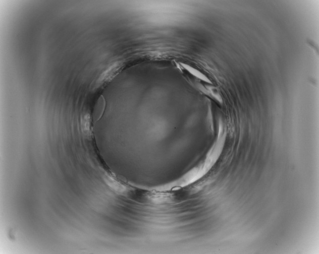 X0000098130670200805080959