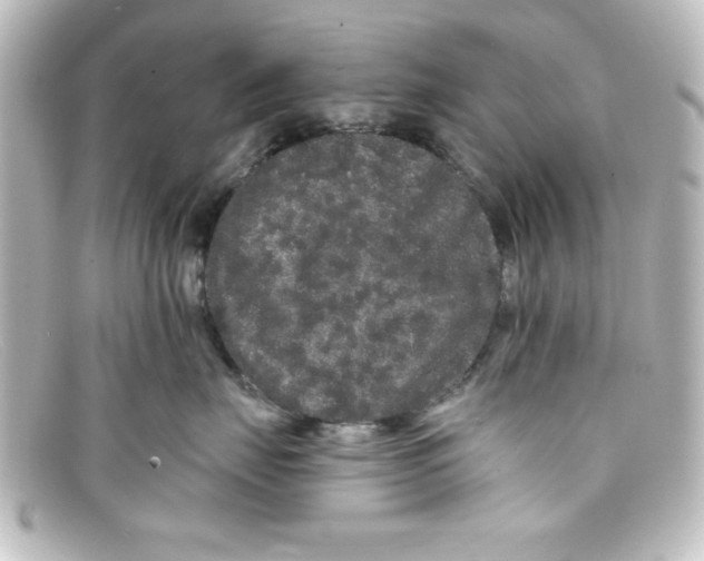 X0000098130671200805081000