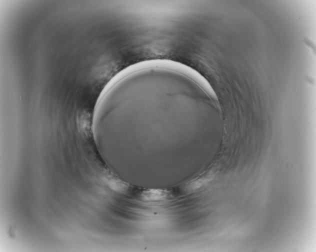 X0000098130672200805081000