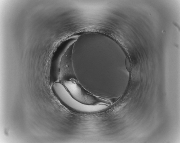 X0000098130673200805080959