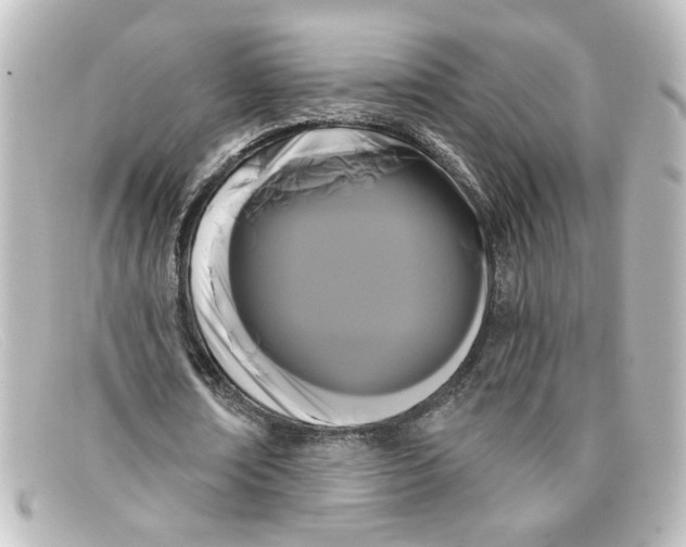 X0000098130674200805080959