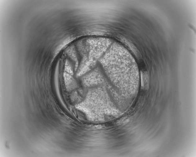 X0000098130675200805080959