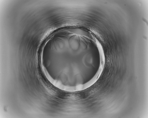 X0000098130678200805080959