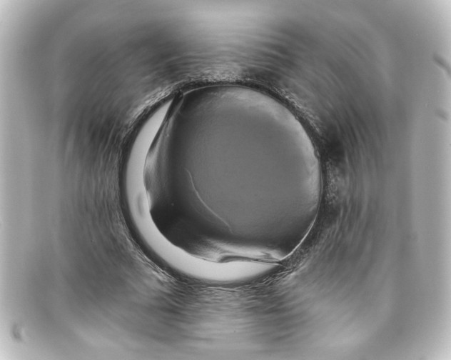 X0000098130681200805080959