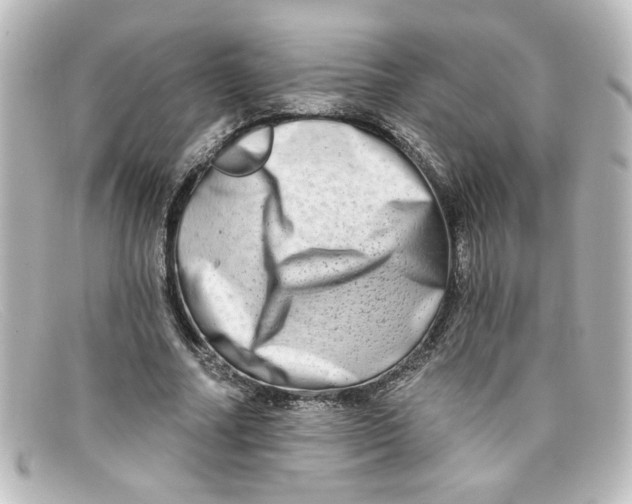 X0000098130682200805080959