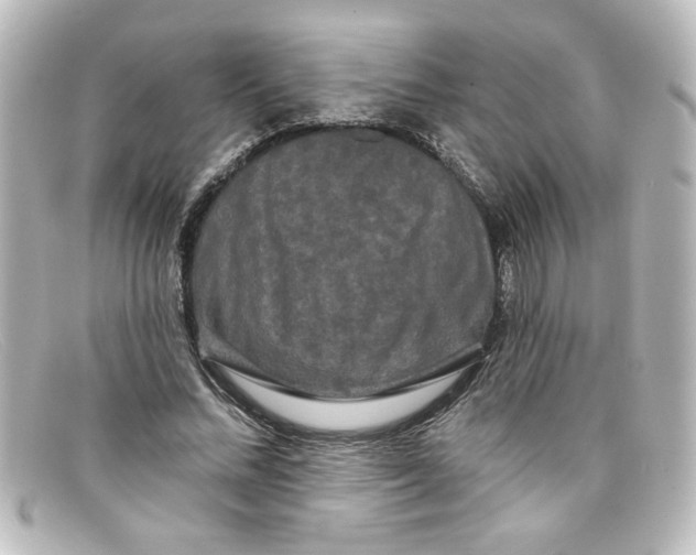 X0000098130684200805080959