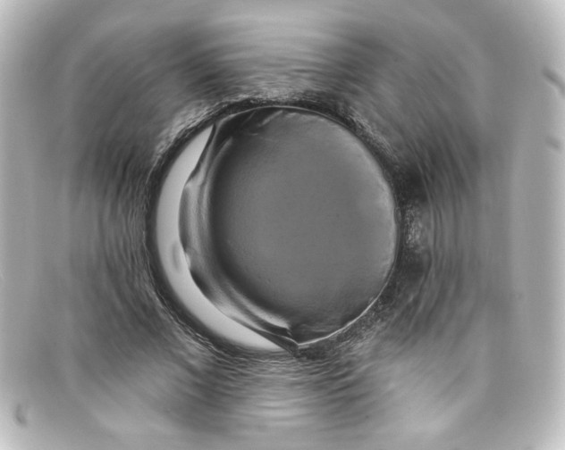 X0000098130685200805080959